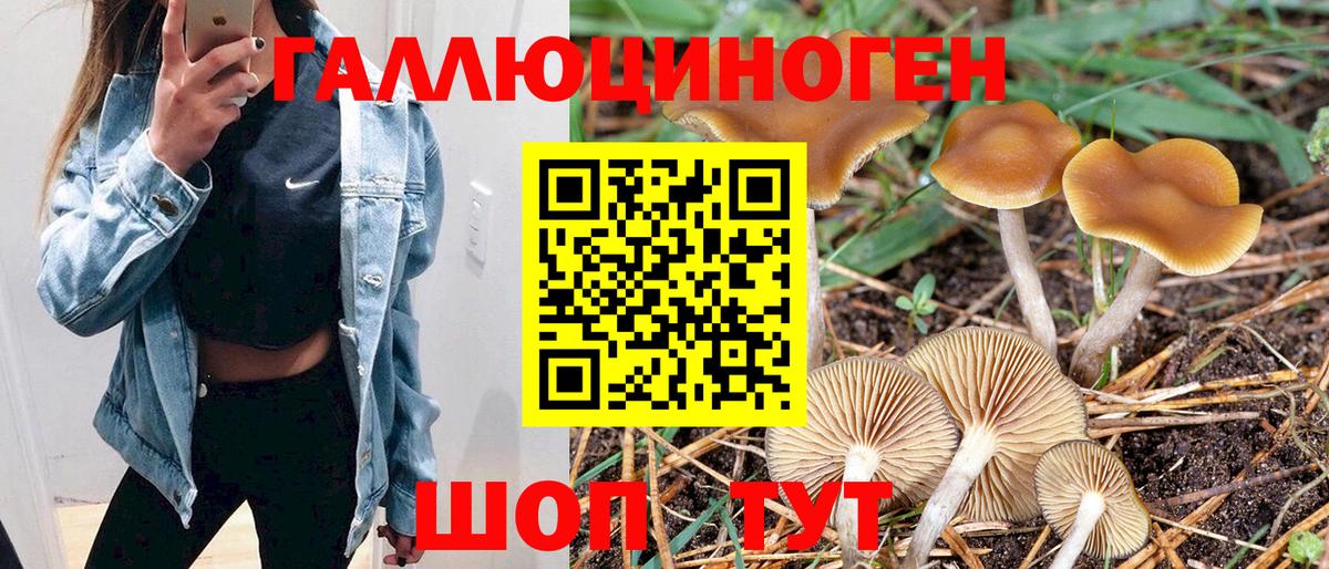 Феодосия  Псилоцибиновые грибы прущие грибы  Вход с VPN  Псилоцибиновые грибы прущие грибы 