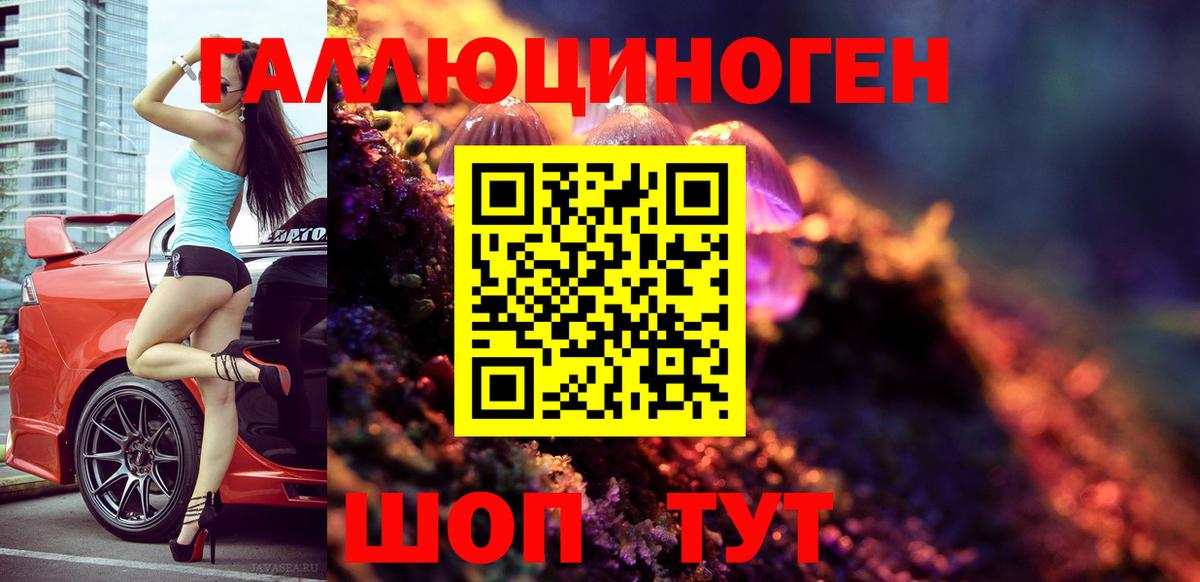 Псилоцибиновые грибы Psilocybe Феодосия